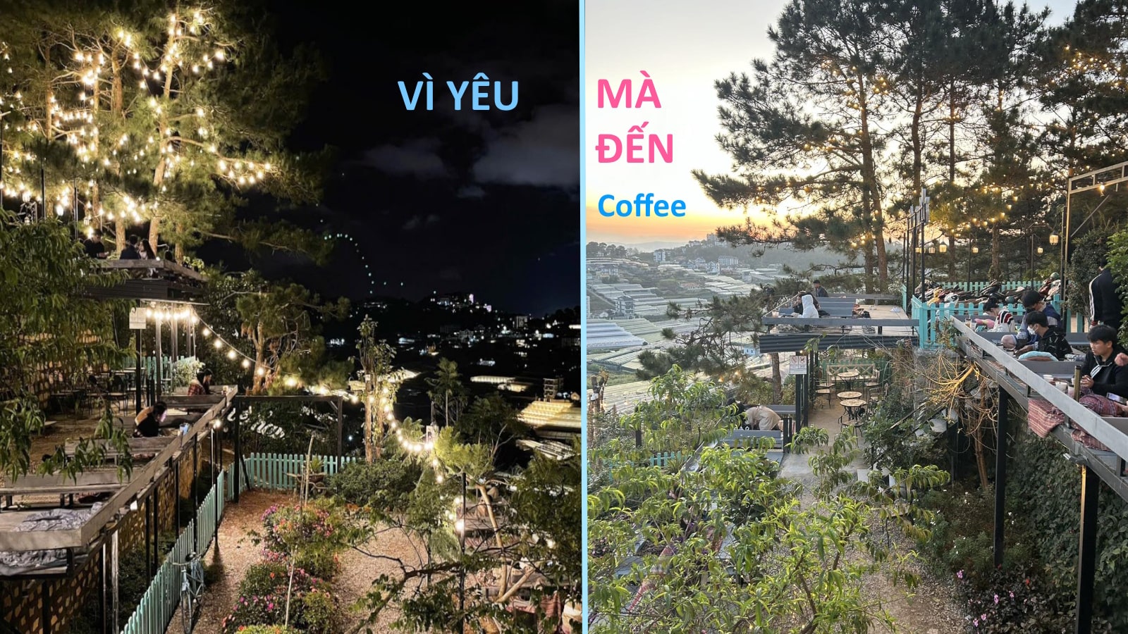 Vì Yêu Mà Đến