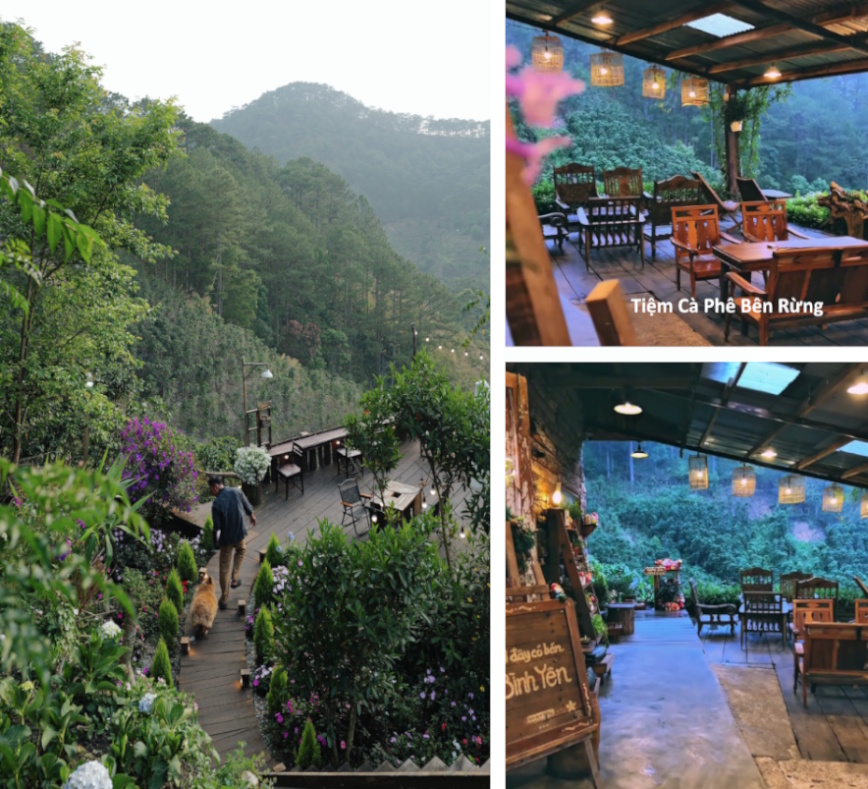 Tiệm Cà Phê Nhà Bên Rừng